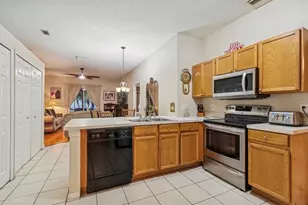 1346 Brooke View Dr, Odessa, FL 33556 - Photo 4