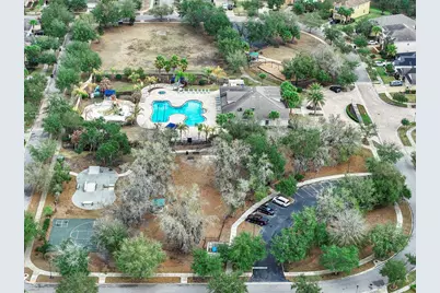 17423 New Cross Circle, Lithia, FL 33547 - Photo 62