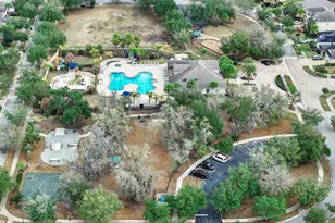 17423 New Cross Cir, Lithia, FL 33547 - Photo 62