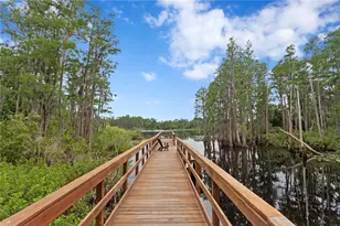 14110 Damselfly Dr, Tampa, FL 33625 - Photo 26