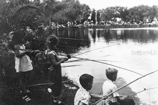 5605 N 9th St, Tampa, FL 33604 - Photo 50