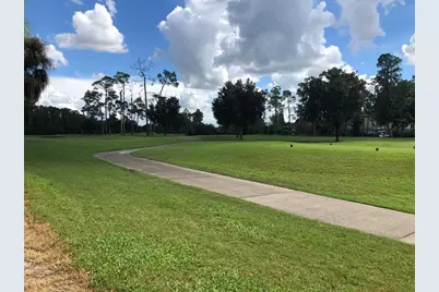 29129 Bay Hollow Drive #3203, Wesley Chapel, FL 33543 - Photo 12
