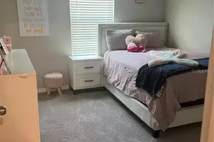 31811 Sun Kettle Loop, Wesley Chapel, FL 33545 - Photo 12