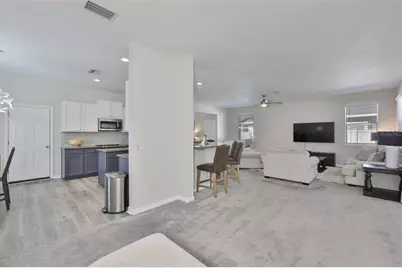1609 Bonita Bluff Court, Ruskin, FL 33570 - Photo 20