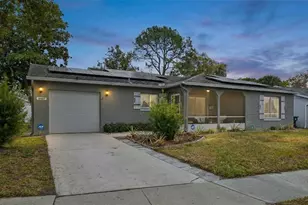 10407 Larissa St, Orlando, FL 32821 - Photo 1