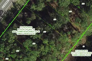 000 000 US Hwy 41, Spring Hill, FL 34610 - Photo 1