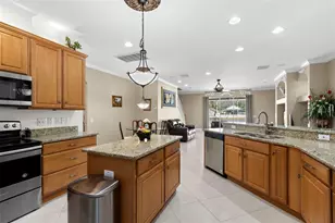 16501 Nikki Ln, Odessa, FL 33556 - Photo 8