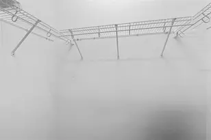 16501 Nikki Ln, Odessa, FL 33556 - Photo 30