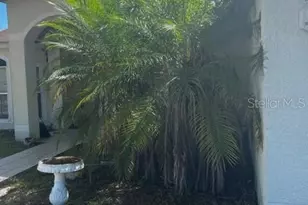 3260 Tucson Wind Pl, Odessa, FL 33556 - Photo 22