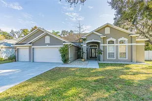 4106 Imperial Eagle Dr, Valrico, FL 33594 - Photo 1