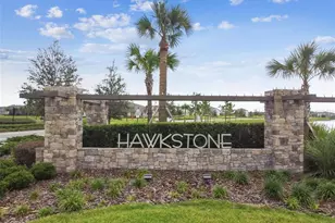 12453 Horseshoe Bend Dr, Lithia, FL 33547 - Photo 82