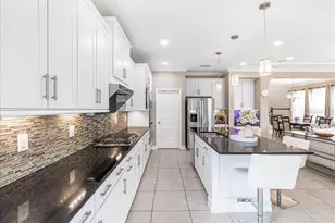 3963 Empoli Ct, Wesley Chapel, FL 33543 - Photo 14