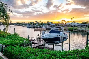 918 Shagos Dr, Apollo Beach, FL 33572 - Photo 38