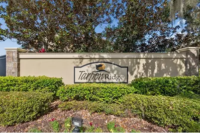 4813 Michelle Lane, Palm Harbor, FL 34684 - Photo 40