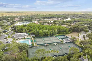 10162 Deercliff Dr, Tampa, FL 33647 - Photo 78