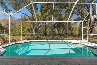10162 Deercliff Drive, Tampa, FL 33647 - Photo 60