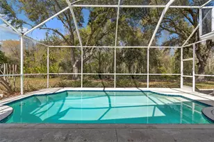 10162 Deercliff Dr, Tampa, FL 33647 - Photo 60