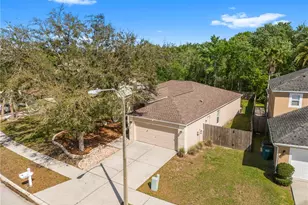 25016 Hyde Park Blvd, Land O Lakes, FL 34639 - Photo 54