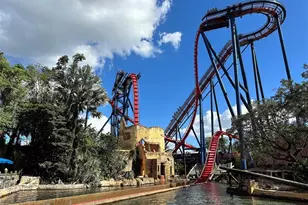 1432 Lotus Path, Clearwater, FL 33756 - Photo 12