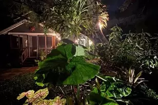 1720 Scranton St S, Saint Petersburg, FL 33711 - Photo 50