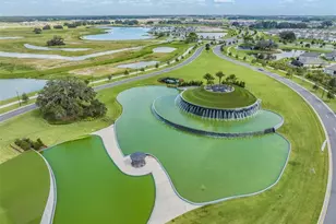 31625 Cannon Rush Dr, San Antonio, FL 33576 - Photo 42