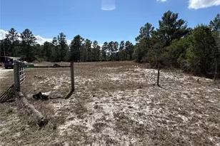 6 Sugar Pine Loop, Lake Wales, FL 33898 - Photo 80