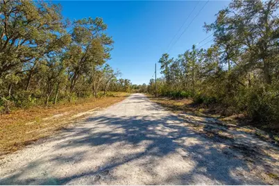 8149 Renova Drive, Ridge Manor Estates, FL 33597 - Photo 6