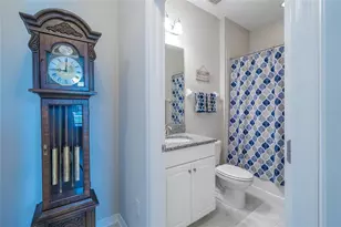 31030 Parrot Reef Ct, Wesley Chapel, FL 33545 - Photo 10