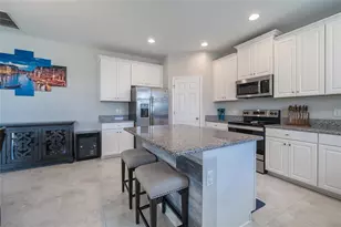 31030 Parrot Reef Ct, Wesley Chapel, FL 33545 - Photo 12