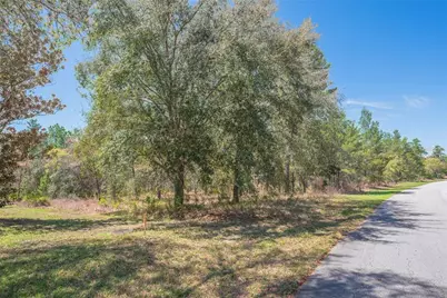 10 Heuchera Court E, Homosassa, FL 34446 - Photo 12