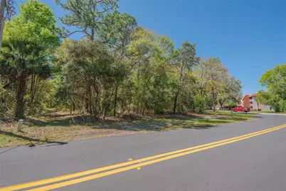 1 Pine Street, Homosassa, FL 34446 - Photo 14