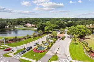 3351 Bristol Pl, Tarpon Springs, FL 34688 - Photo 64