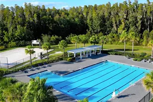 32606 Canyonlands Dr, Wesley Chapel, FL 33543 - Photo 46