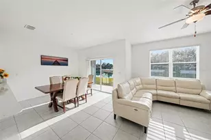 6269 Shiner St, Land O Lakes, FL 34638 - Photo 8