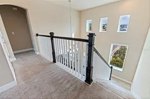 6313 Havensport Dr, Apollo Beach, FL 33572 - Photo 22