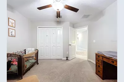 197 Rain Berry Avenue, Ruskin, FL 33570 - Photo 12