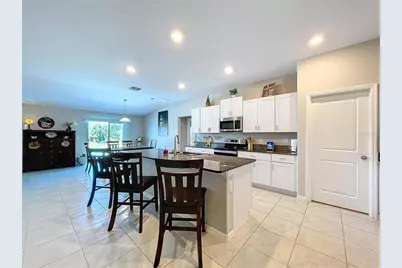 197 Rain Berry Avenue, Ruskin, FL 33570 - Photo 8