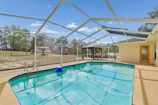 16402 Fringe Tree Dr, Spring Hill, FL 34610 - Photo 2