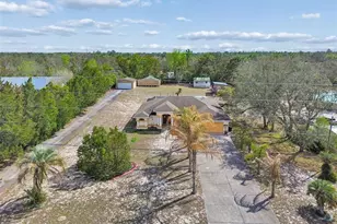 16402 Fringe Tree Dr, Spring Hill, FL 34610 - Photo 94