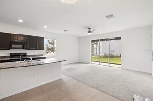 8502 Falling Blue Pl, Riverview, FL 33578 - Photo 10