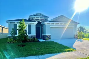 32303 Rosepine Blvd, Wesley Chapel, FL 33543 - Photo 2