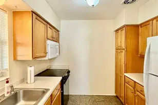 257 38th Ave SE, Saint Petersburg, FL 33705 - Photo 10