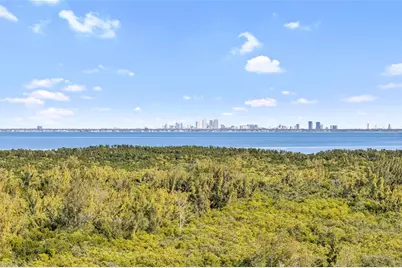 10851 Mangrove Cay Lane NE #1112, Saint Petersburg, FL 33716 - Photo 1