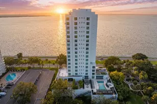 2619 Bayshore Blvd, Tampa, FL 33629 - Photo 50