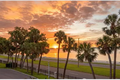 2619 Bayshore Boulevard #200, Tampa, FL 33629 - Photo 48