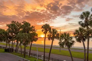 2619 Bayshore Blvd, Tampa, FL 33629 - Photo 48