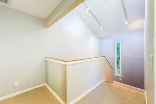 1351 Willow Brk Dr, Palm Harbor, FL 34683 - Photo 28