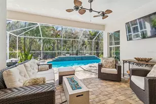 10413 Applecross Ln, Tampa, FL 33626 - Photo 20