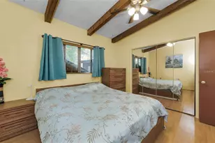 2602 Cyprus Dr, Palm Harbor, FL 34684 - Photo 22
