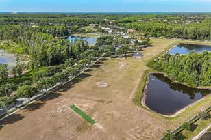 3204 Mapleridge Dr, Lutz, FL 33558 - Photo 62